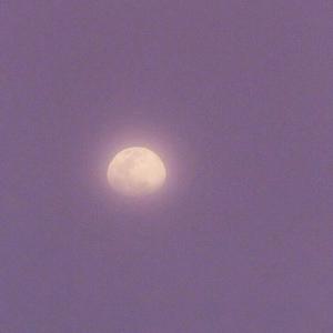 JXX免费观看视频在线播放
